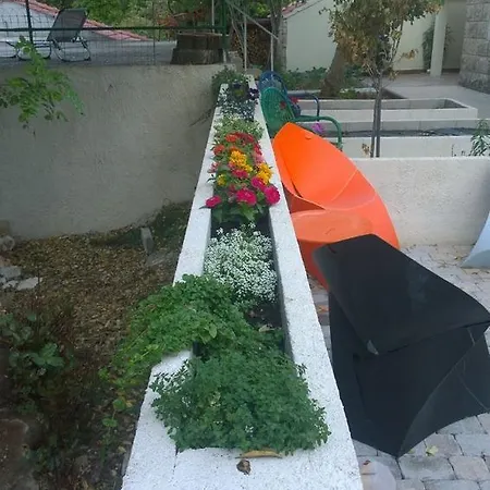 Zrnovska Banja 5203a * كورتْشولا